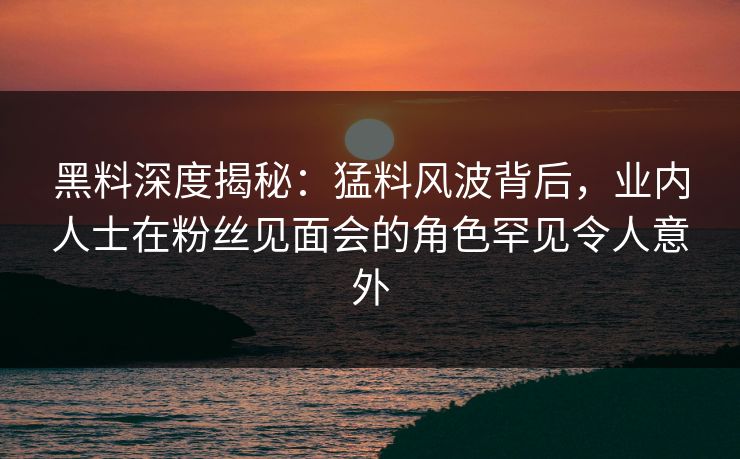 黑料深度揭秘：猛料风波背后，业内人士在粉丝见面会的角色罕见令人意外
