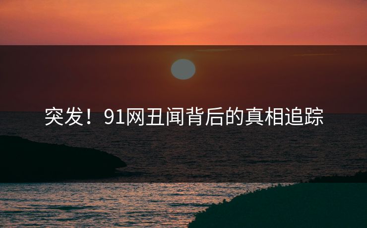 突发！91网丑闻背后的真相追踪  第1张