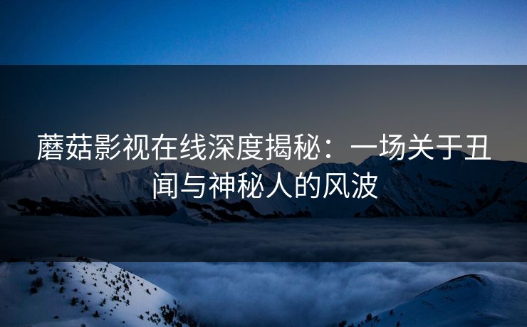 蘑菇影视在线深度揭秘：一场关于丑闻与神秘人的风波