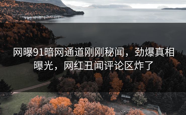网曝91暗网通道刚刚秘闻，劲爆真相曝光，网红丑闻评论区炸了