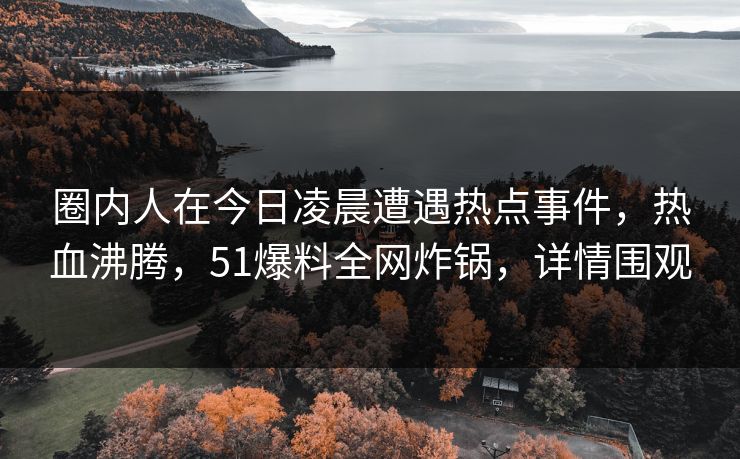 圈内人在今日凌晨遭遇热点事件，热血沸腾，51爆料全网炸锅，详情围观