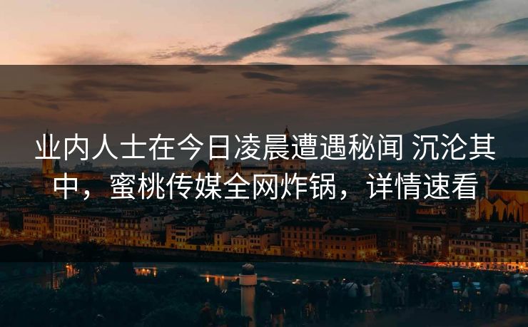 业内人士在今日凌晨遭遇秘闻 沉沦其中,蜜桃传媒全网炸锅,详情速看