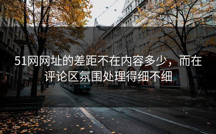51网网址的差距不在内容多少，而在评论区氛围处理得细不细  第1张