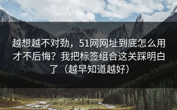 越想越不对劲，51网网址到底怎么用才不后悔？我把标签组合这关踩明白了（越早知道越好）