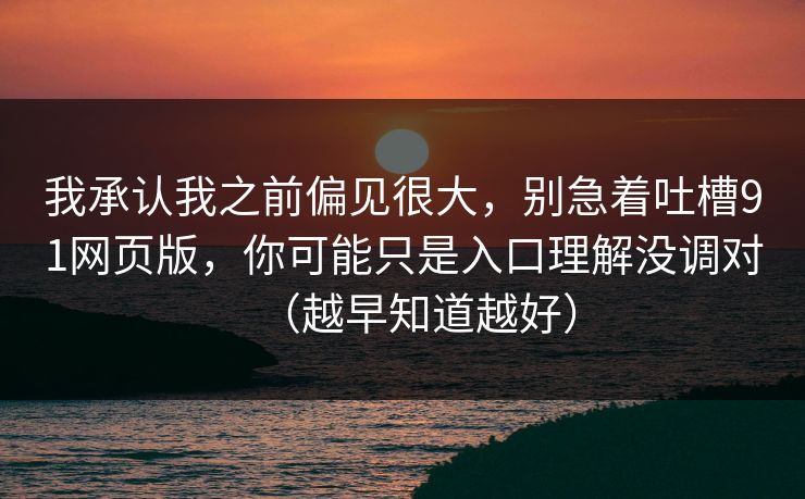 我承认我之前偏见很大，别急着吐槽91网页版，你可能只是入口理解没调对（越早知道越好）